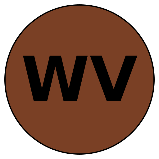 WiseVoyage